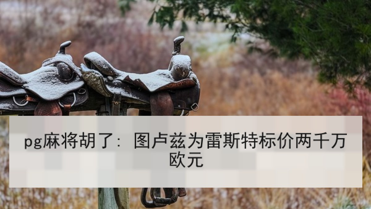 pg麻将胡了: 图卢兹为雷斯特标价两千万欧元
