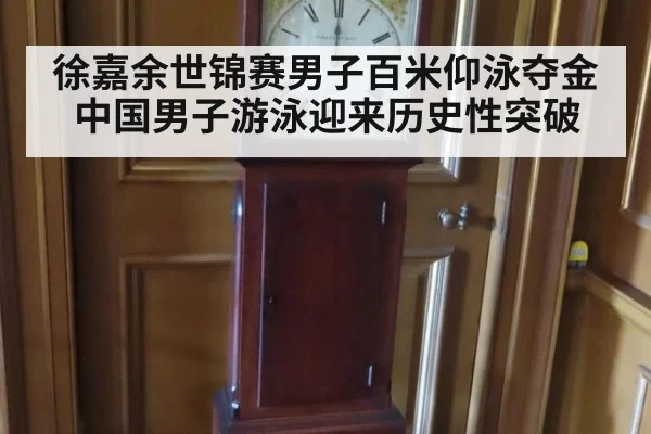徐嘉余世锦赛男子百米仰泳夺金 中国男子游泳迎来历史性突破